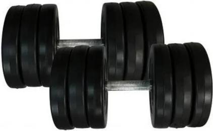 Гантель Newt Rock Pro-R 16, 5 кг 2 шт. Black набірні (NE-PL-R-016-2)