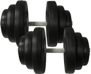 Гантель Newt Rock Pro-R 19.5 кг 2 шт. Black набірні (NE-PL-R-019-2)