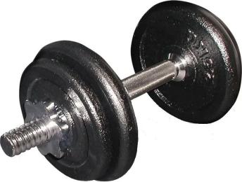 Гантель Toorx 20 кг VAL-20DGN з кейсом (931411)