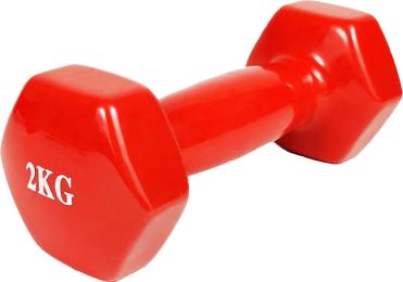 Гантель EasyFit EF-0020-R Red 2 кг