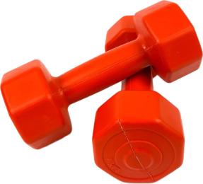 Гантель Neo-Sport 1 кг 2 шт. композитні