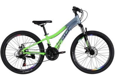 Велосипед SPACE AL 24 LYRA DD FR рама-11 2026 Silver Green (OPS-SP-24-081)