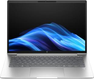 Ноутбук HP ProBook 4 G1i 14 (C51LGET) Silver