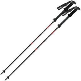 Трекінгові палиці Gabel FR-3 EF Black (034.0135)
