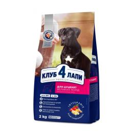 Сухий корм для собак Club 4 Paws Premium Puppy Large Breed Chicken 2 кг (4820083909481)