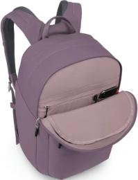 Рюкзак Osprey Arcane XL Day Purple Garnet Heather (009.4303)