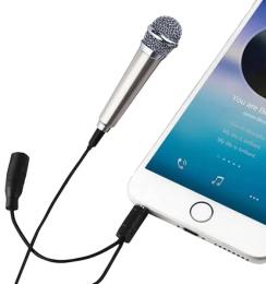 Мікрофон Infinity Mini 5.5x1.8cm Silver