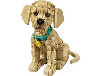 Конструктор LEGO Icons Цуценя золотистого ретривера (11384)