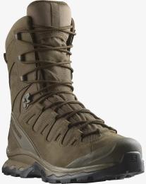 Тактичні черевики Salomon QUEST 4D Forces 2 High GTX (149902-18)
