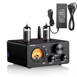 Підсилювач звуку AIYIMA T9 Tube Amplifier (TPA3250) Black + блок живлення 48V