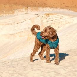 Жилет Pet Fashion E.Vest для собак морська хвиля SМ (PR242414)