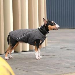 Жилет Pet Fashion E.Vest для собак сірий XS-2 (PR242436)