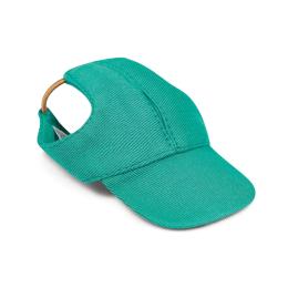 Кепка Pet Fashion Topaz для собак М (PR244599)