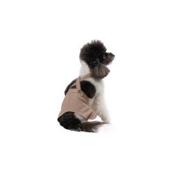 Шорти Pet Fashion Leo для собак S (PR244566)