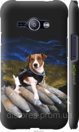 Захисне скло ArmorStandart Pro для Infinix Hot 50 Pro 4G Transparent (ARM80935)