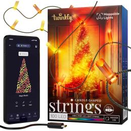 Гірлянда Twinkly Strings Candle RGB 100 IP20, 6м, USB-C (TWKC100RGB-G)