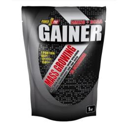 Power Pro Gainer - 1000g Chocolate (100-17-3771294-20)
