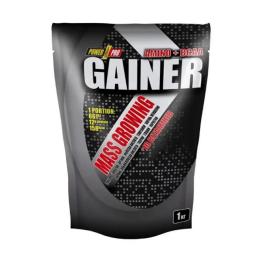 Гейнер Power Pro Gainer - 1000g Wild Berry (2023-10-6109)
