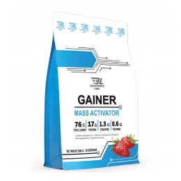 Power Pro Gainer - 2000g Strawberry (2023-10-6122)