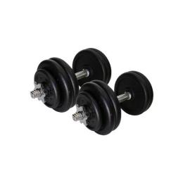 Гантель NEWT TI-968-745-1 (2x15.5 kg)