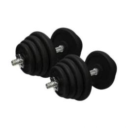 Гантель NEWT TI-968-745-23-2 (2x23.5 kg)