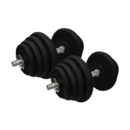 Гантель NEWT TI-968-745-25-2 (2x25.5 kg)