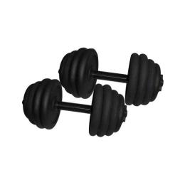 Гантель NEWT NE-300-GP019-2 (2x18.5 kg)