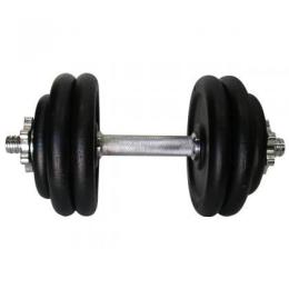Гантель NEWT TI-968-745-1-1 (15.5 kg)