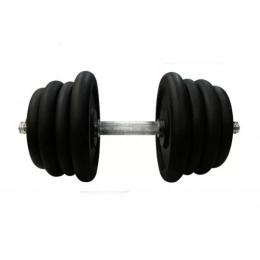 Гантель NEWT Home складальна (27.5 kg, TI-968-745-27-1)