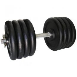 Гантель NEWT Home складальна (42 kg, TI-968-745-42-1)