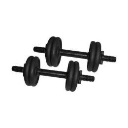 Гантель NEWT NE-300-GP005 (4.5 kg)