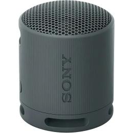 Акустика портативна Sony SRS-XB100 Black (SRSXB100B) (Уцінений)