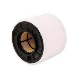 Повітряний фільтр для автомобіля MANN-FILTER C17010
