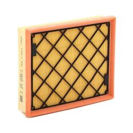 Повітряний фільтр для автомобіля MANN-FILTER C25008/1