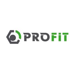 Повітряний фільтр для автомобіля Profit 1512-4221