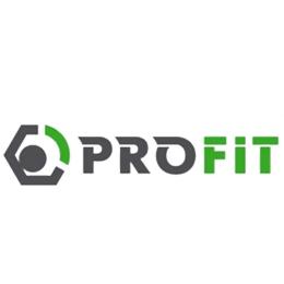 Повітряний фільтр для автомобіля Profit 1512-4055