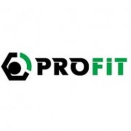 Повітряний фільтр для автомобіля Profit 1512-4267