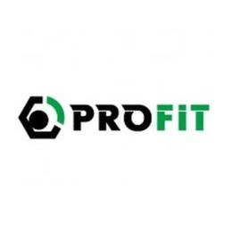 Повітряний фільтр для автомобіля Profit 1512-4276
