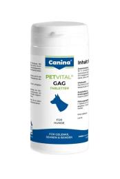 Мінеральний комплекс Canina Petvital GAG для собак для суглобів і тканин глюкозамін з екстрактом мідій 90 г 90 табл. (723300 AD_pause)