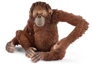 Ігрова фігурка Schleich Самка орангутанга