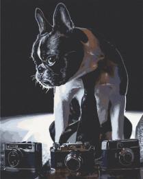 Картина за номерами Art Craft 40х50 см 11642-AC-RY Соромязливий фотограф