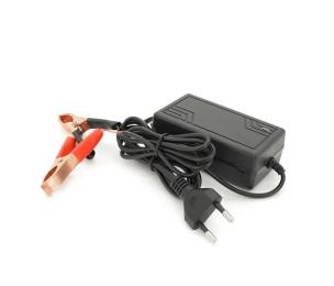 Зарядний пристрій для акумулятора Voltronic YT-CKS-14620 Black