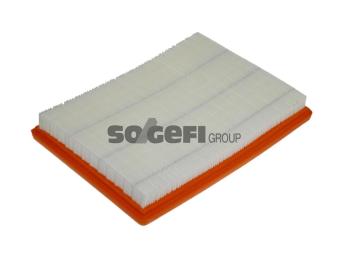 Фільтр повітряний FRAM CA9838