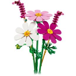 Конструктор LEGO (11514) Botanicals Квіти космеї