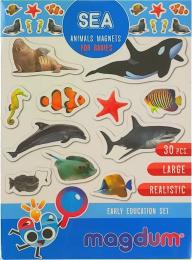 Набір магнітів Magdum Морські фото ML4031-28 EN 30 шт