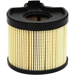 Паливний фільтр FRAM CG8953ECO
