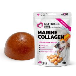 Ласощі для собак LK Baits Pet Nutrigel Marine Collagen S-M для суглобів з морським колагеном 100 г