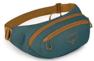 Сумка Osprey Daylite Waist  -  O/S Torrent Blue (009.4342)