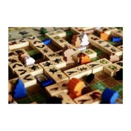 Настільна гра Capstone Games Renature (Розквіт), англійська (5060226932955)