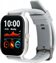 Смарт-годинник AMICO Go Fun Pulseoximeter and Tonometer Gray (swgofung)